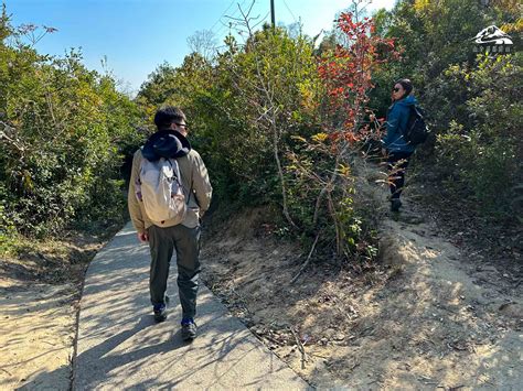 圓墩山|紅葉2024︱圓墩無敵大草原行山 清快塘打卡